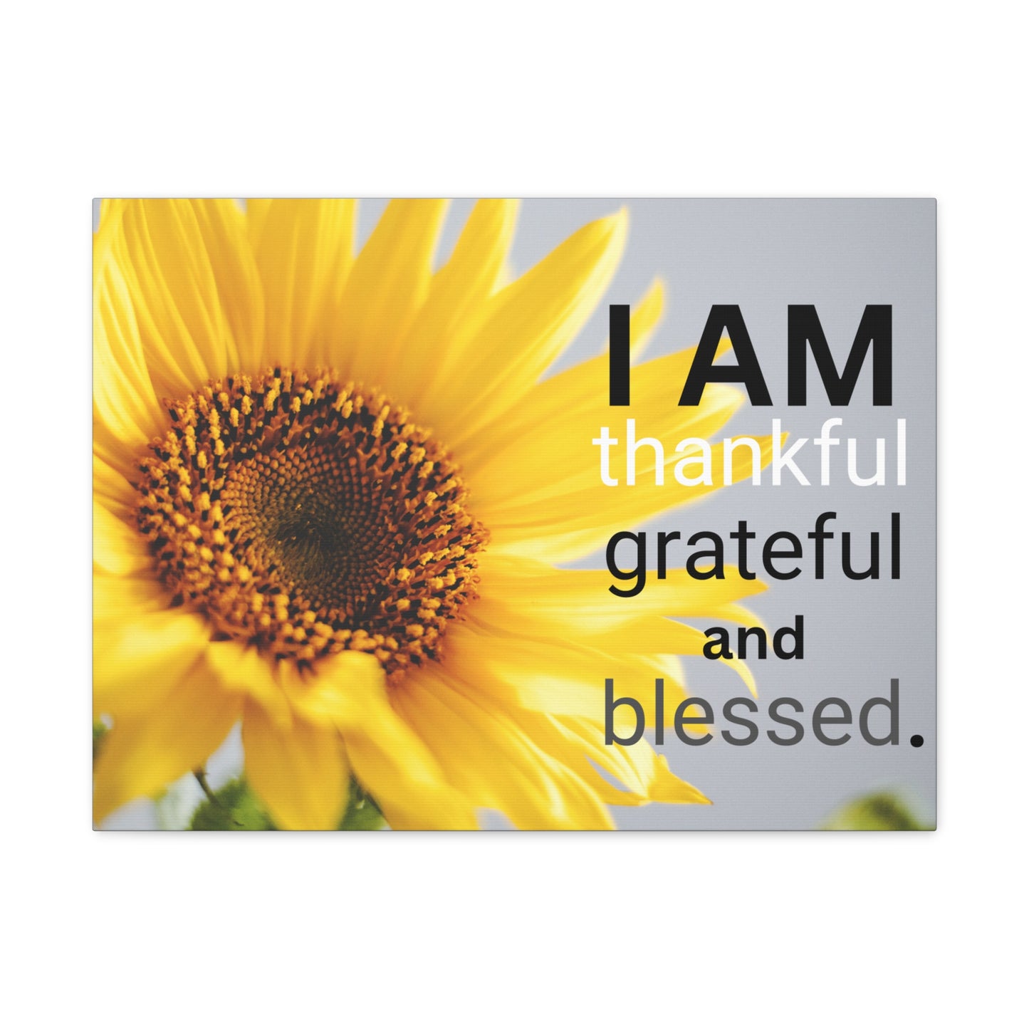 Christian Wall Art: I am Thankful, Grateful and Blessed (Wood Frame Ready to Hang)