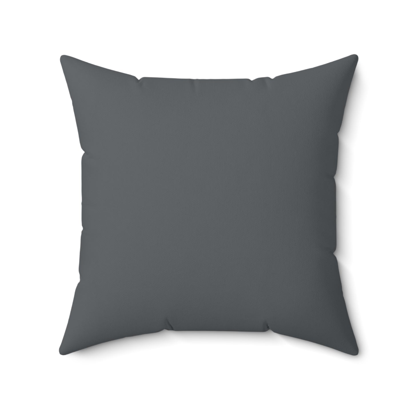 Zebra Print (Dual) Gray Throw Pillow