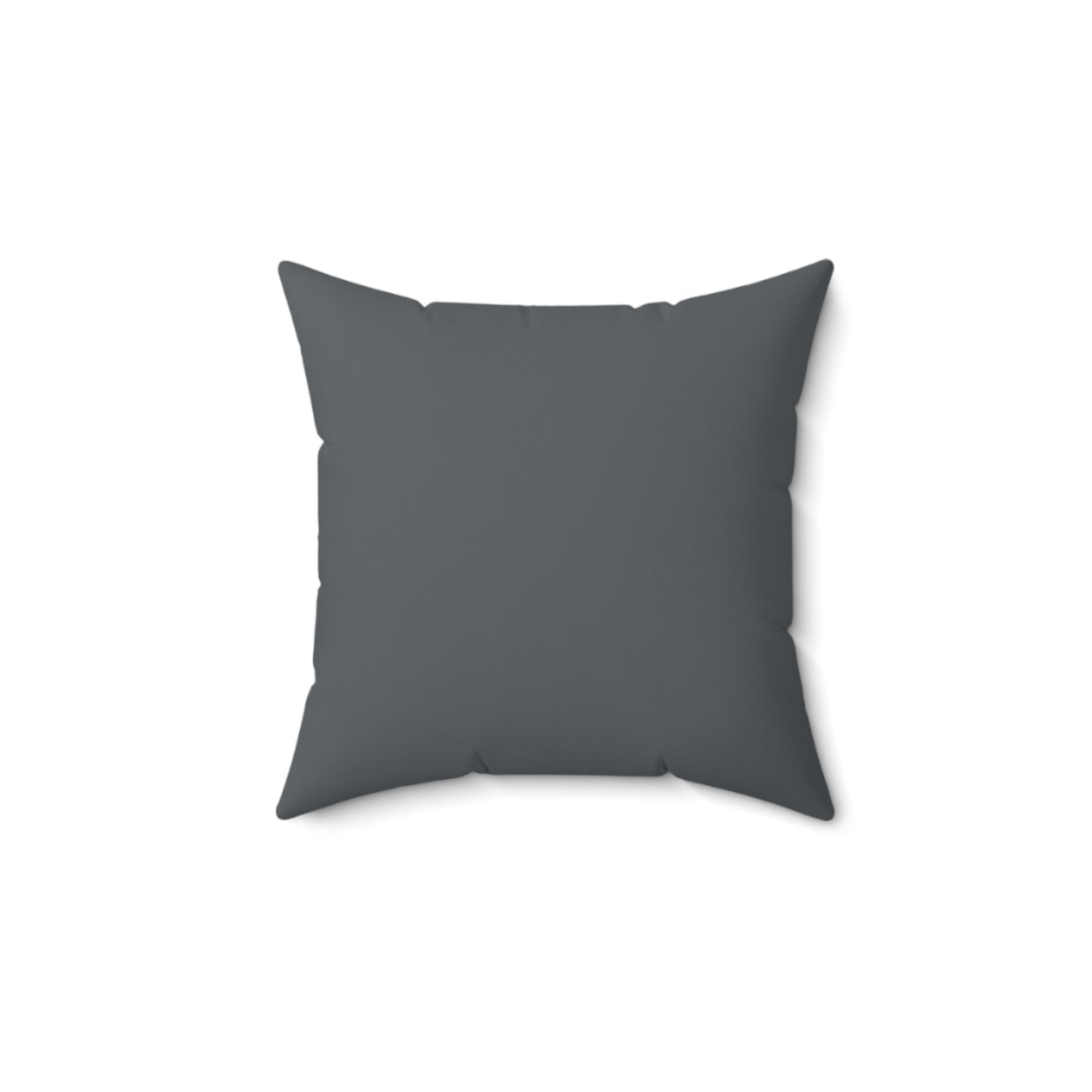 Gray Throw Pillow