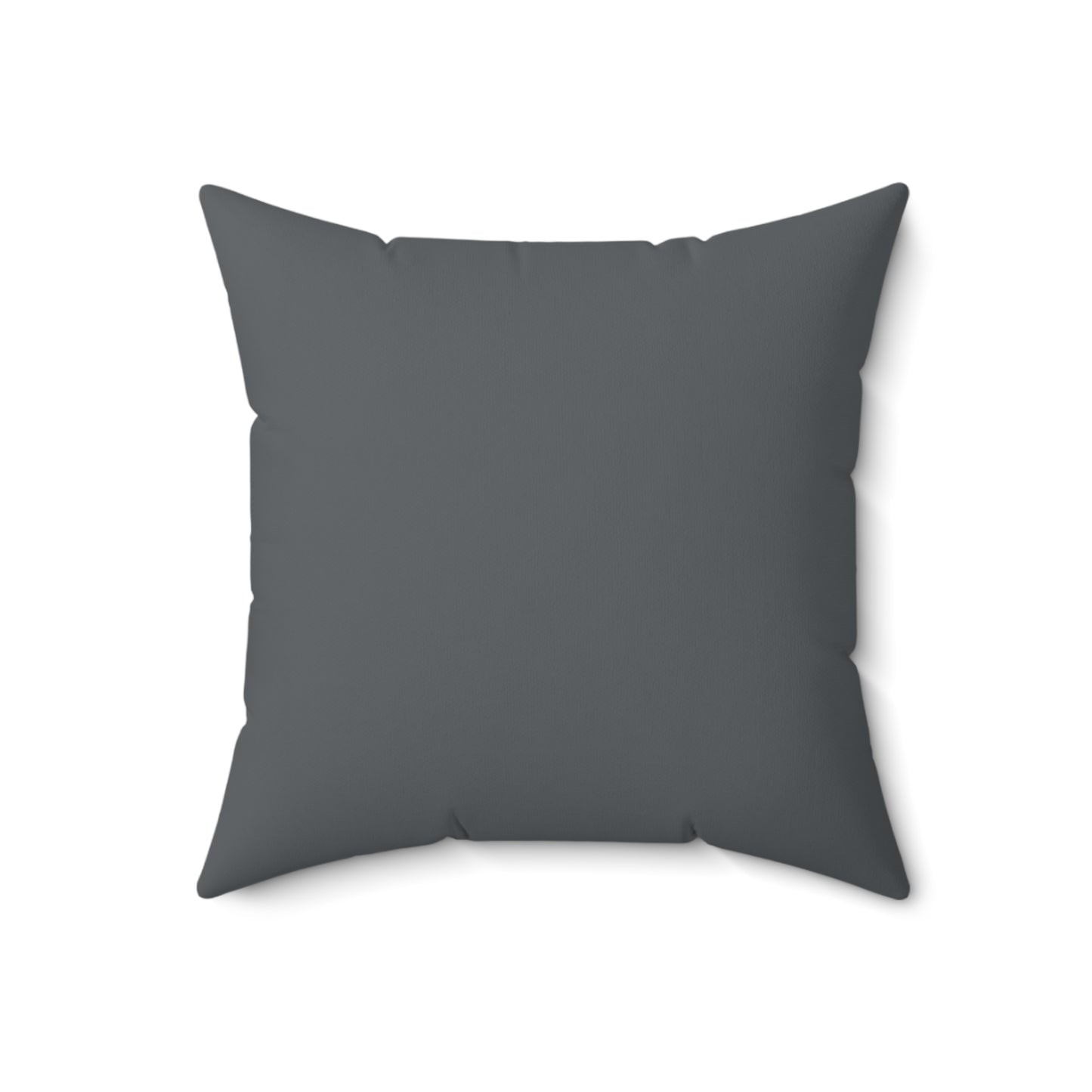 Zebra Print (Dual) Gray Throw Pillow