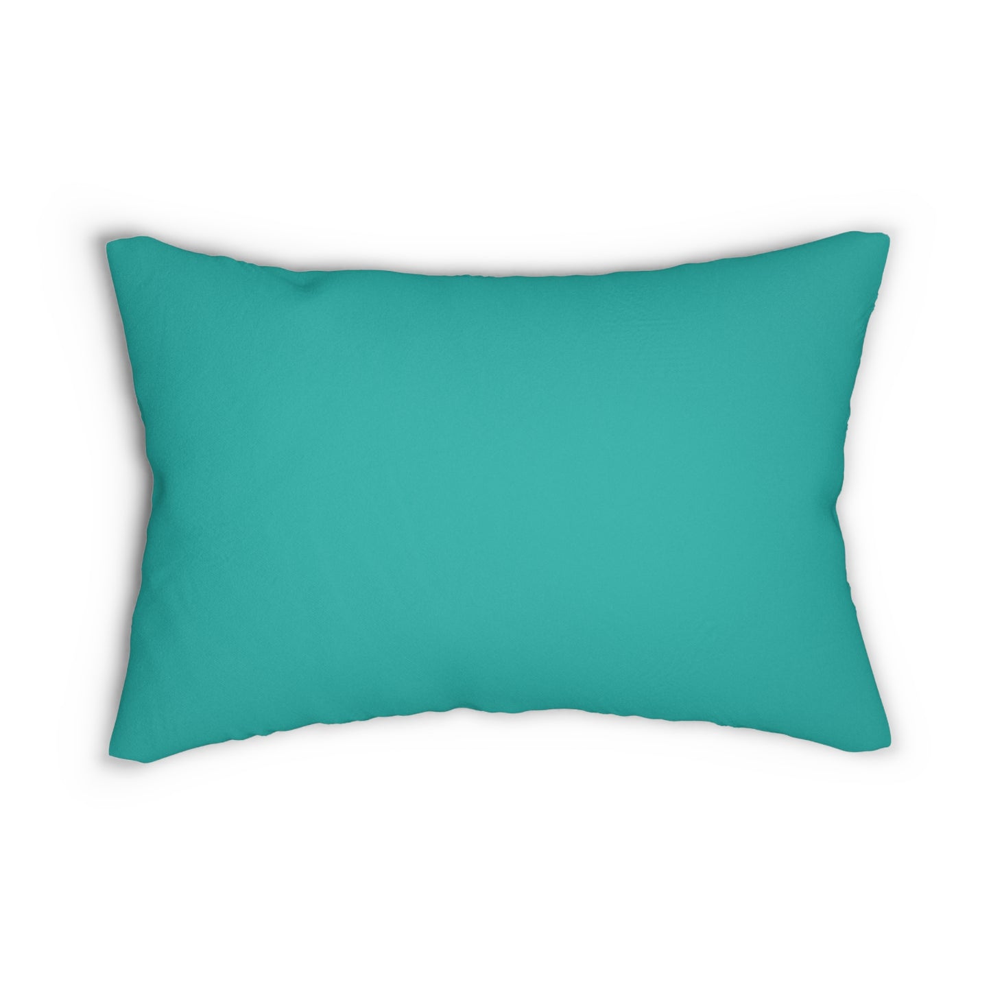 Teal Accent Pillow