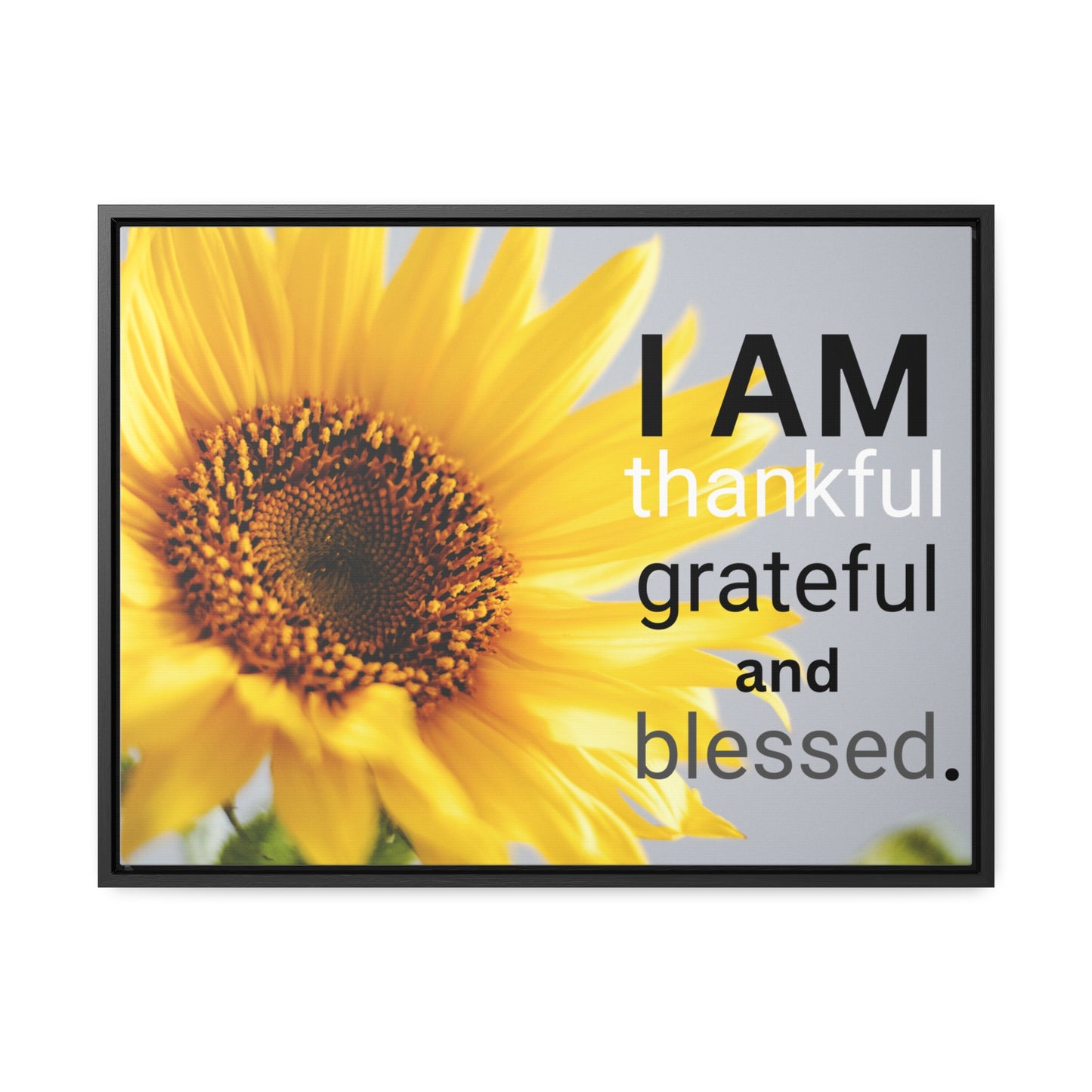 Christian Wall Art: I am Thankful, Grateful and Blessed (Floating Frame)