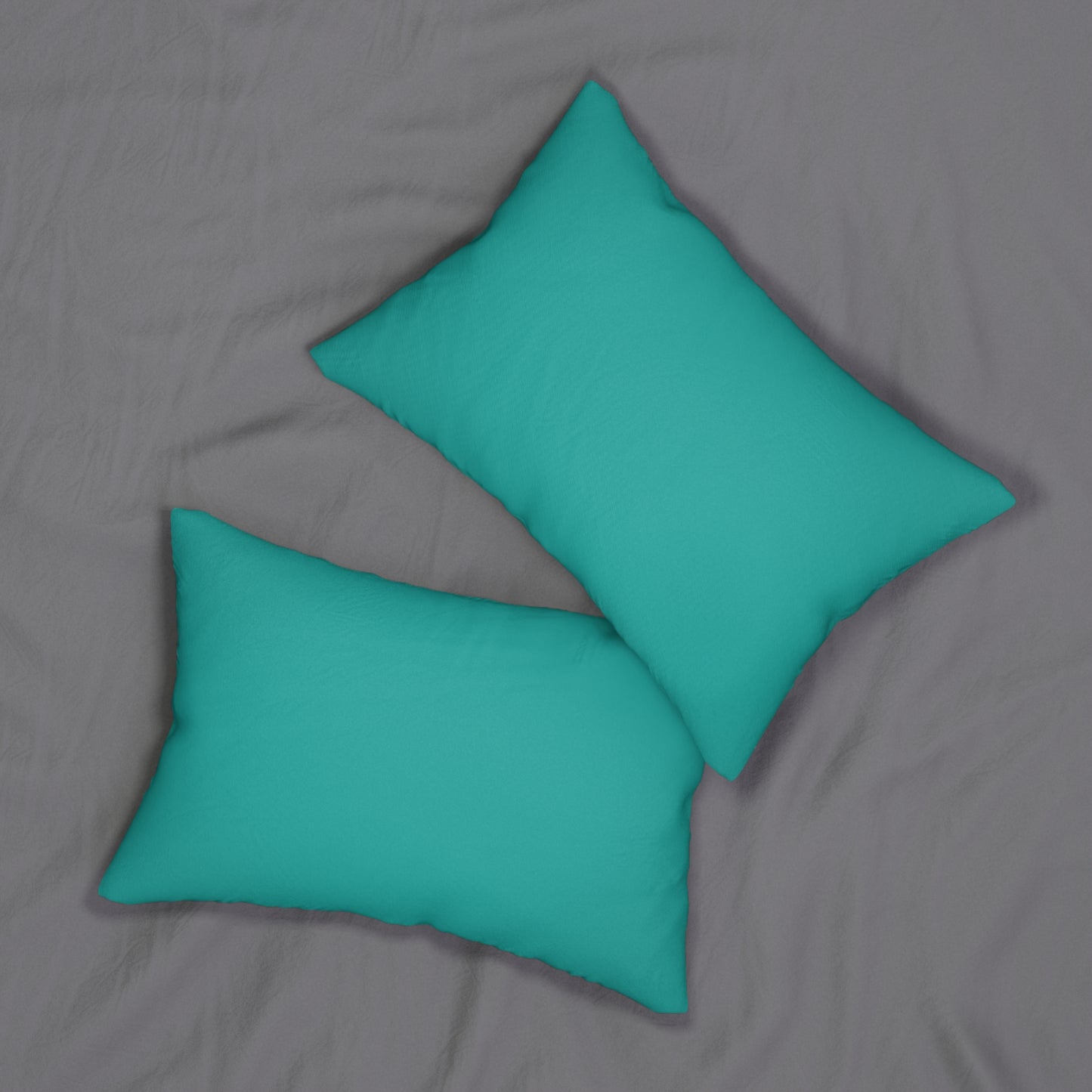 Teal Accent Pillow