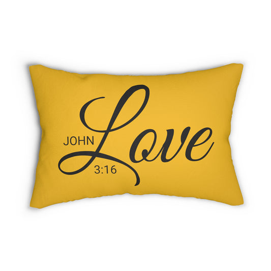 Scripture Love John 3:16 Bible Verse Pillow